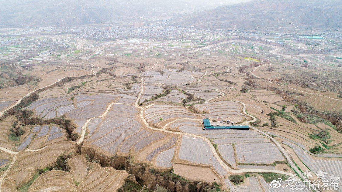 抖音业务网站平台