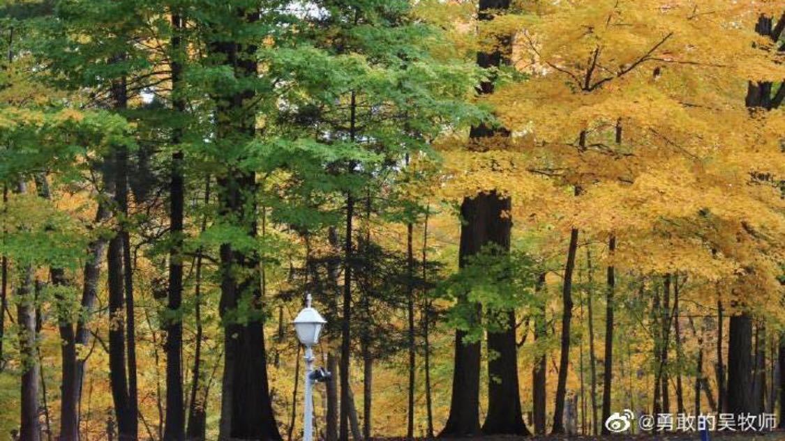 涨播放量抖音网站：自媒体运营实战指南打造个人品牌_王者金币网站