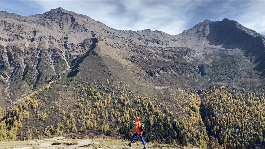 韦雪和秦奋的儿子这么大了